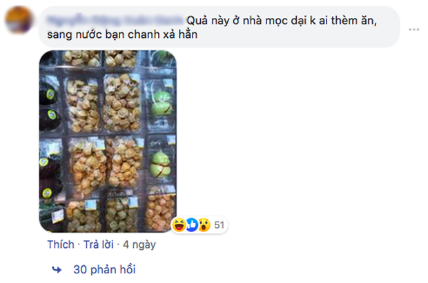 Quả mọc dại ở Việt Nam được bày bán sang chảnh ở siêu thị nước ngoài-2