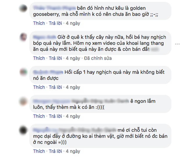 Quả mọc dại ở Việt Nam được bày bán sang chảnh ở siêu thị nước ngoài-5