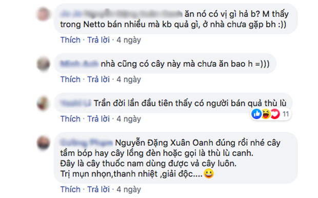 Quả mọc dại ở Việt Nam được bày bán sang chảnh ở siêu thị nước ngoài-6