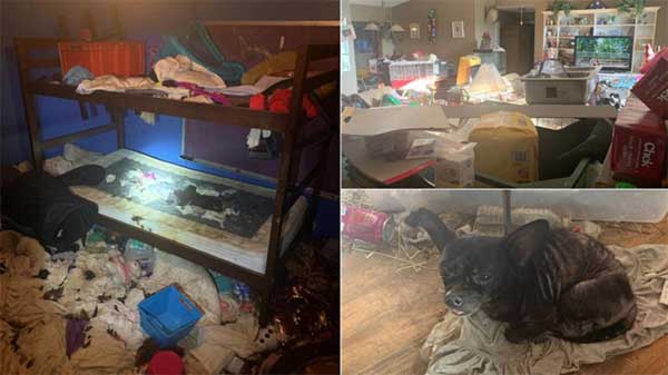Phát hiện 3 đứa trẻ sống trong ngôi nhà ngập rác với 245 con vật-1