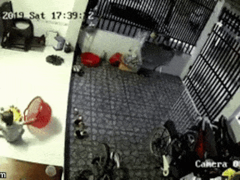 Rùng mình clip rắn bò lồm ngồm trong nhà, ngay sau lưng người mẹ trẻ đang đưa võng cho con-2