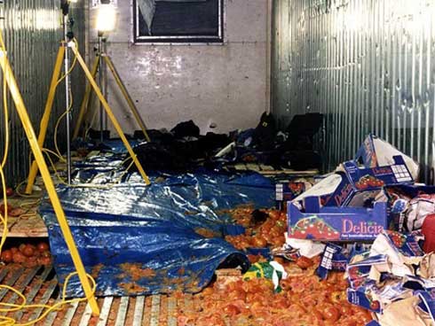 Chuyện người Nhật di cư đến Brazil: Từng sống khốn khổ và bị đối xử không khác nô lệ nhưng mạnh mẽ vươn lên tìm chỗ đứng nơi đất khách-8