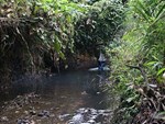 Vụ nước sông Đà nhiễm dầu: Phải xử lý đến nơi đến chốn để răn đe-3