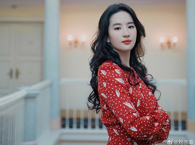 Lưu Diệc Phi và cuộc sống bên hàng chục chú mèo-11