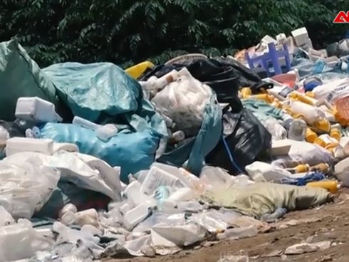 Sự thật rùng mình khi soi hộp xốp đựng đồ ăn dưới kính hiển vi: Chuyên gia cảnh báo dùng nhiều coi chừng gây vô sinh, dậy thì sớm và ung thư-6