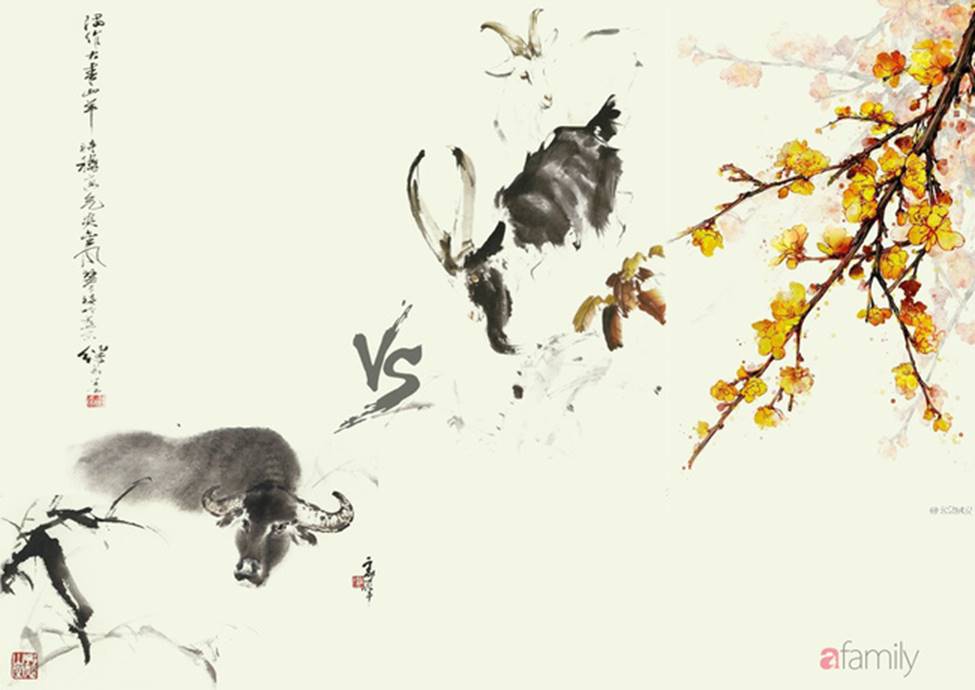 Những cặp đôi con giáp này bất chấp đi ngược tứ hành xung cùng chung lý tưởng tạo nên cuộc sống viên mãn, thăng hoa tràn đầy hạnh phúc-2