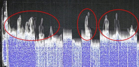 Vì sao 39 người phải vào Anh trong xe đông lạnh -25 độ C?-1