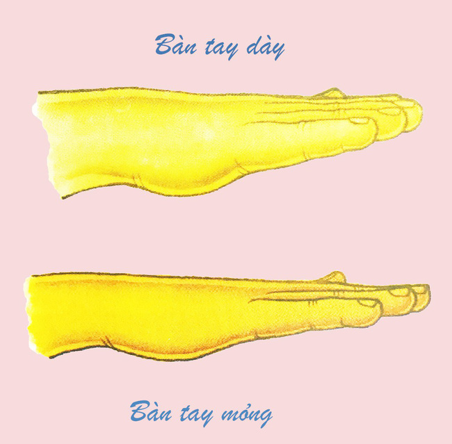 Nhìn tướng bàn tay đoán biết ngay tính cách và vận mệnh của bản thân sướng hay khổ, sang hay hèn-7