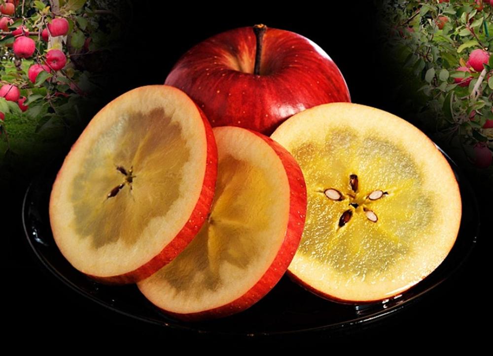 Cận cảnh quy trình trồng táo mật đắt nhất thế giới, 1 cành chỉ 1 quả-1