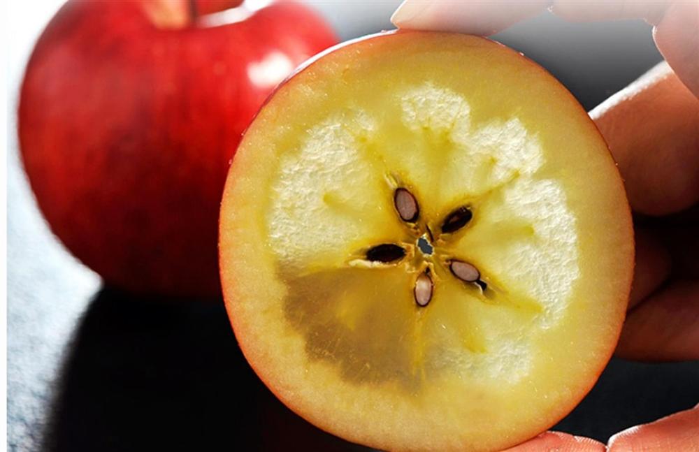 Cận cảnh quy trình trồng táo mật đắt nhất thế giới, 1 cành chỉ 1 quả-7