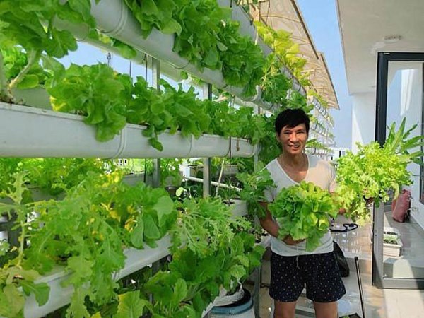 Trái ngọt sai trĩu trên sân thượng biệt thự nhà Lý Hải - Minh Hà-1