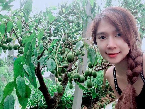 Trái ngọt sai trĩu trên sân thượng biệt thự nhà Lý Hải - Minh Hà-3