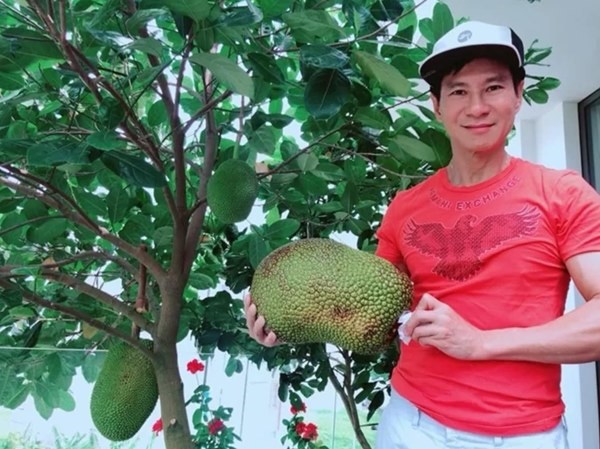 Trái ngọt sai trĩu trên sân thượng biệt thự nhà Lý Hải - Minh Hà-6