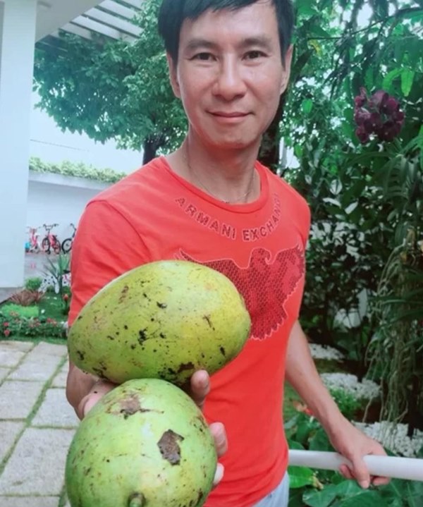 Trái ngọt sai trĩu trên sân thượng biệt thự nhà Lý Hải - Minh Hà-7