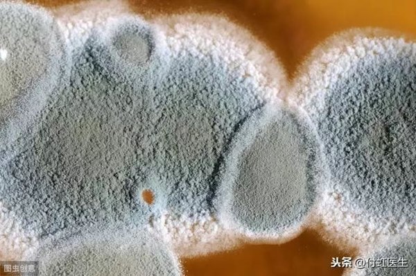 Vùng kín bé 5 tuổi bị trầy xước, bốc mùi: Mẹ hô hoán con bị xâm hại nhưng bác sĩ đã khiến bà cúi đầu nhận tội”-2