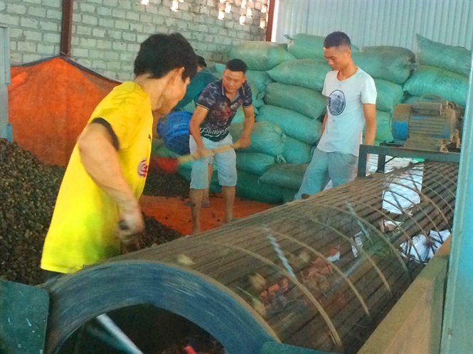 Duy nhất Việt Nam, ngôi làng trồng 1 loại quả bán sang Trung Quốc thu 1.000 tỷ-3