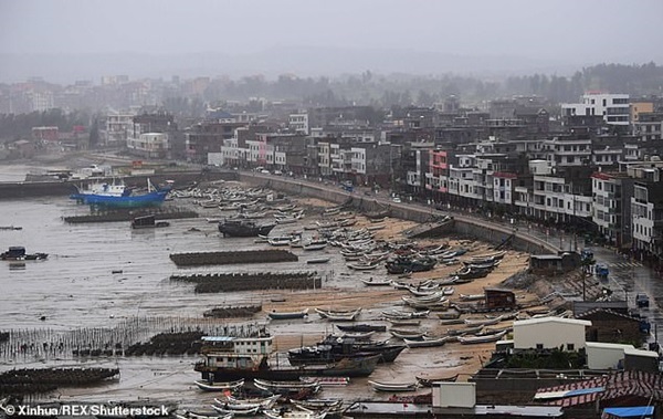 Bà trùm của đầu rắn và đế chế buôn người trong 2 thập kỷ-4