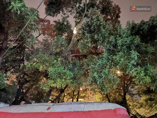 Giải cứu người đàn ông nằm vắt vẻo trên cây giữa đêm-2