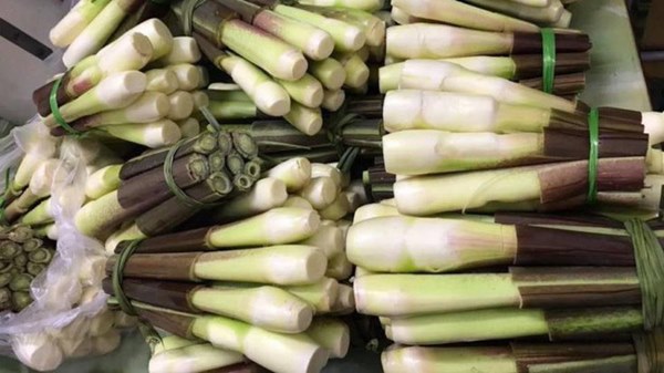 Chuyên gia đông y mách bạn tận dụng loại củ mọc bờ mọc bụi” để vừa ăn ngon vừa chữa bệnh trong mùa thu này-1