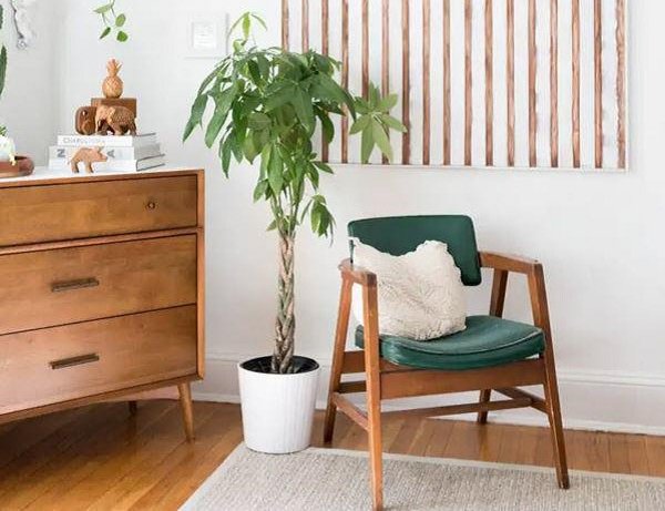 Cây kim ngân hợp tuổi nào để tiền vào như thác, sự nghiệp hanh thông?-1