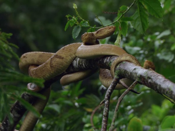 7 địa danh biệt lập và bí ẩn với thế giới bên ngoài, dù giàu có đến đâu cũng khó lòng đặt chân tới-2