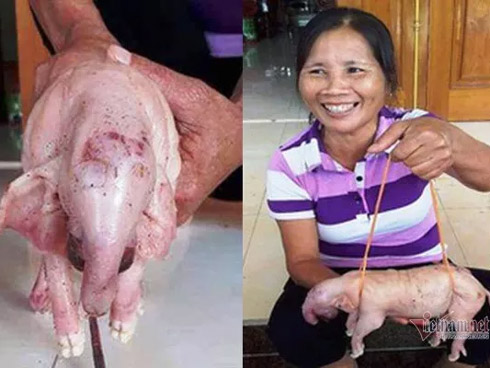 Hai mẹ con tâm thần sống như thời tiền sử” trong túp lều cao 2m không có đường vào: Thương nó lắm nhưng cũng đành chịu”-19