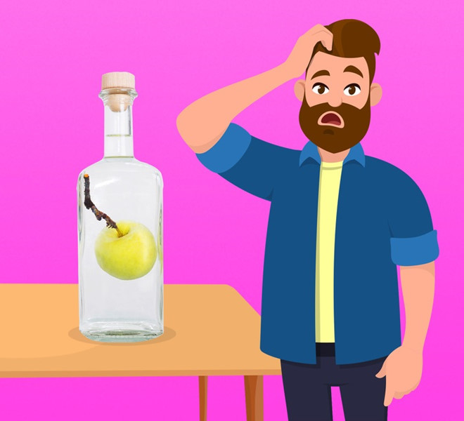 Làm thế nào đặt quả táo vào chai có cổ hẹp?-1