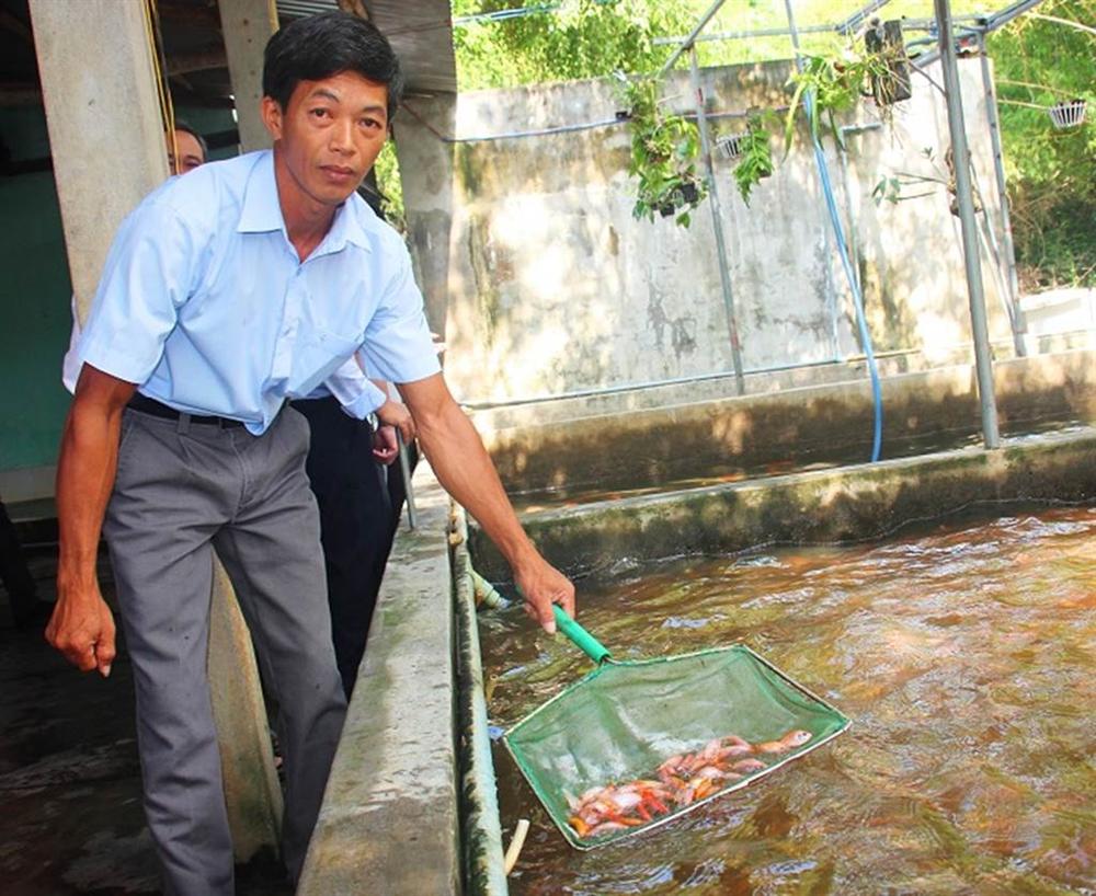 Nuôi bạt ngàn loài cá siêu đẹp, anh Luyện đút túi hơn 2 tỷ mỗi năm-4