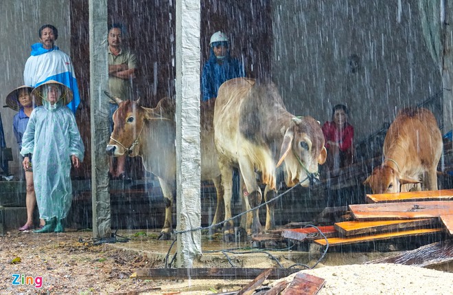 Sơ tán hàng nghìn người khỏi vùng nguy hiểm trước khi bão số 5 đổ bộ-2