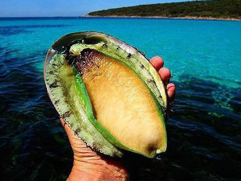 Hội con nhà giàu châu Á sẵn sàng thừa kế gia tài tỷ USD-4