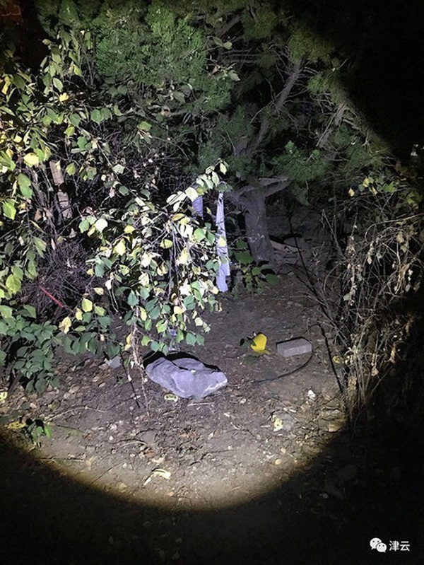 Cậu bé 13 tuổi sát hại dã man một cô bé 10 tuổi nhưng dư luận phẫn nộ vì bản án dành cho kẻ thủ ác-1