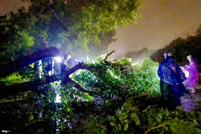 Bão số 5 suy yếu, Trung Bộ mưa lớn-2