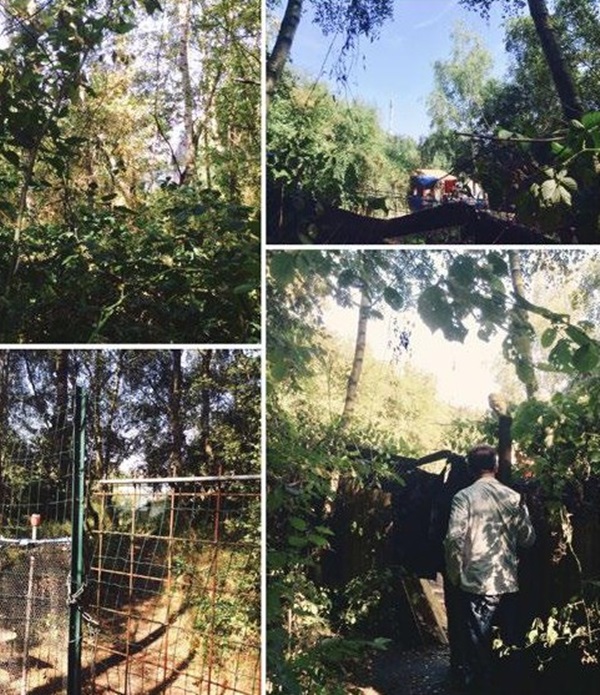 ‘Chiến lược tàng hình’ của người Việt vượt biên vào Anh-2