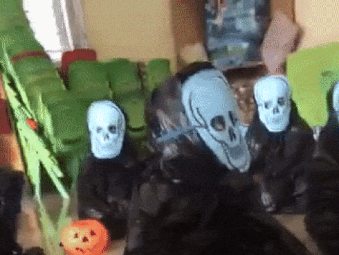 Cô giáo thử thách bố mẹ đoán con trong hàng loạt Vô Diện giống nhau y xì đúc vào ngày Halloween, hài nhất là chi tiết tìm con mắt 2 mí