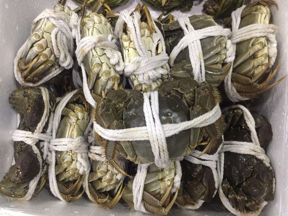 Đặc sản giới thượng lưu Trung Quốc, ở Việt Nam tràn chợ 45 ngàn/con-2