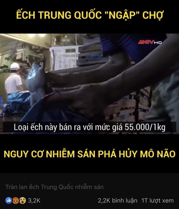 Rợn người với hình ảnh ếch Trung Quốc ngập sán bán ở chợ dân sinh: Khuyến cáo từ chuyên gia khi chế biến và ăn thịt ếch-4