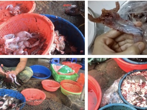 Dùng chất tẩy trắng hô biến” thực phẩm trở nên ngon đẹp: Sát thủ thầm lặng khiến người tiêu dùng đối mặt với vô vàn nguy hại-5