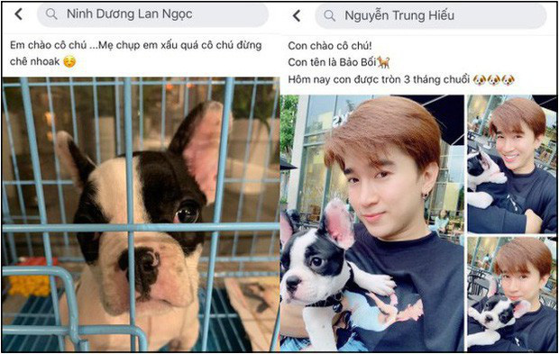 Phát ngôn gây chú ý của sao Vbiz khi lộ ảnh hẹn hò: Chi Dân và Thiều Bảo Trâm cùng quan điểm, sốc nhất là Chí Nhân-5