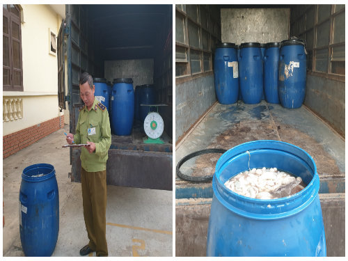 Gom 800 kg lòng lợn ướp lạnh đã chuyển màu đen, hôi để bán kiếm lời-1