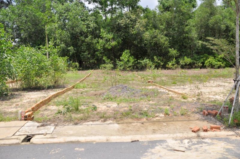 Vợ chồng gom tiền chơi liều mua đất, 4 năm đút túi gần 3 tỷ-1