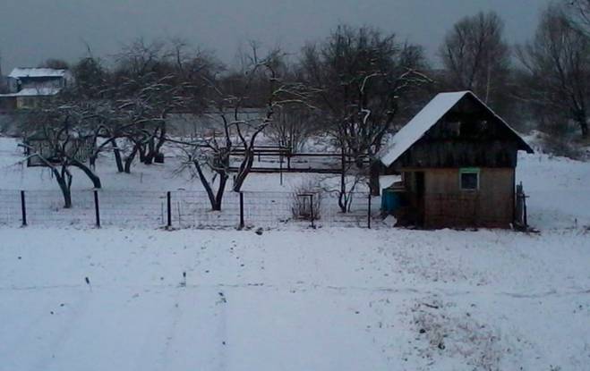 1.000 ngày sống cảnh nô lệ xứ người của cô gái 18 tuổi: Con chết mất… con muốn được về Việt Nam chết-1