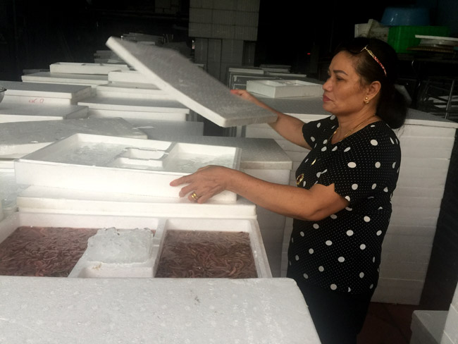 Thâm nhập kho hàng lộc trời lớn nhất miền Bắc-1