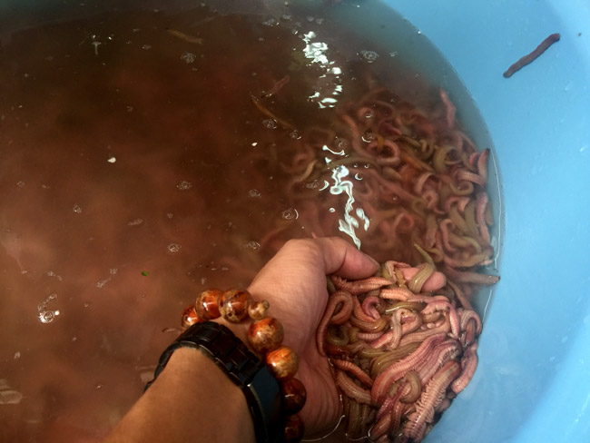 Thâm nhập kho hàng lộc trời lớn nhất miền Bắc-10