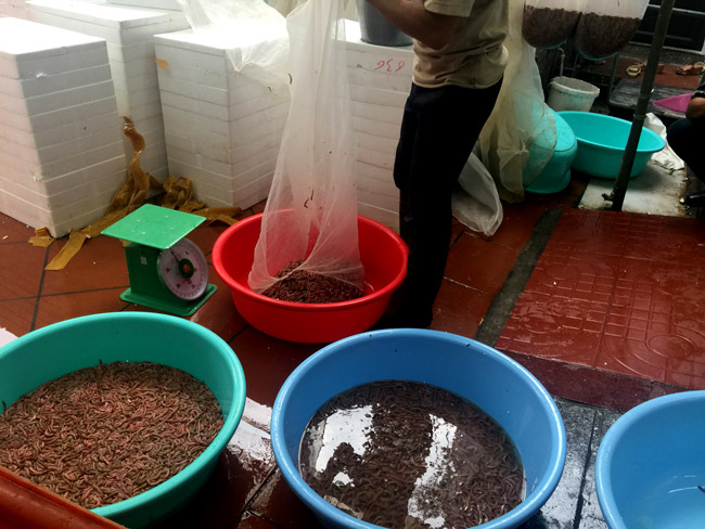 Thâm nhập kho hàng lộc trời lớn nhất miền Bắc-15