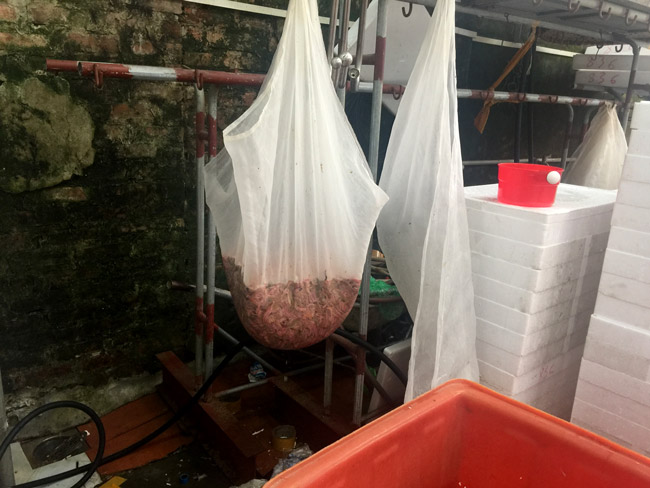 Thâm nhập kho hàng lộc trời lớn nhất miền Bắc-16