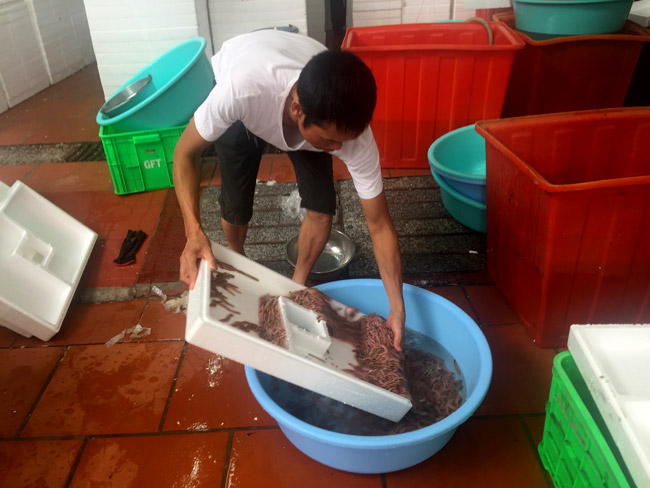 Thâm nhập kho hàng lộc trời lớn nhất miền Bắc-6