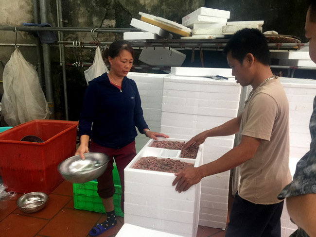 Thâm nhập kho hàng lộc trời lớn nhất miền Bắc-9