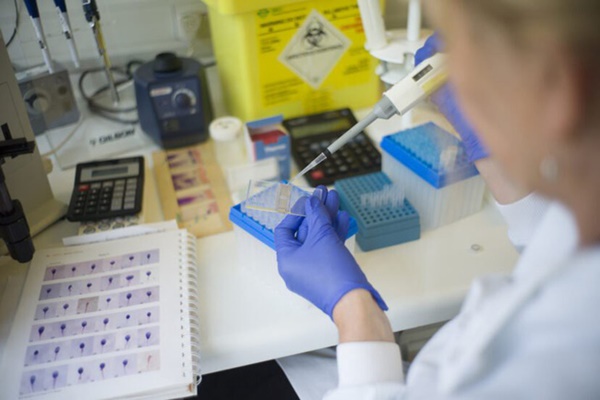 Thụ tinh của người cao 1m8 nhưng sinh con mắc bệnh lùn, bà mẹ ôm cay đắng đâm đơn kiện ngân hàng tinh trùng-1