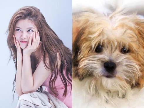 Nửa tháng tới, 3 con giáp có vận khí hưng vượng, sự nghiệp thăng hoa kéo theo tiền bạc dồi dào, 10 người hết 9 người thành công mỹ mãn-4