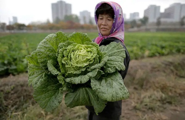 Hé mở cuộc sống bí ẩn của người lao động Triều Tiên-1